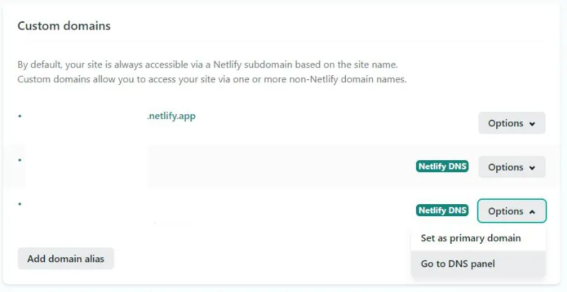 Netlify custom domains list with Set up Netlify DNS option